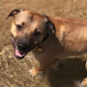 Meet your Posher, Carrie